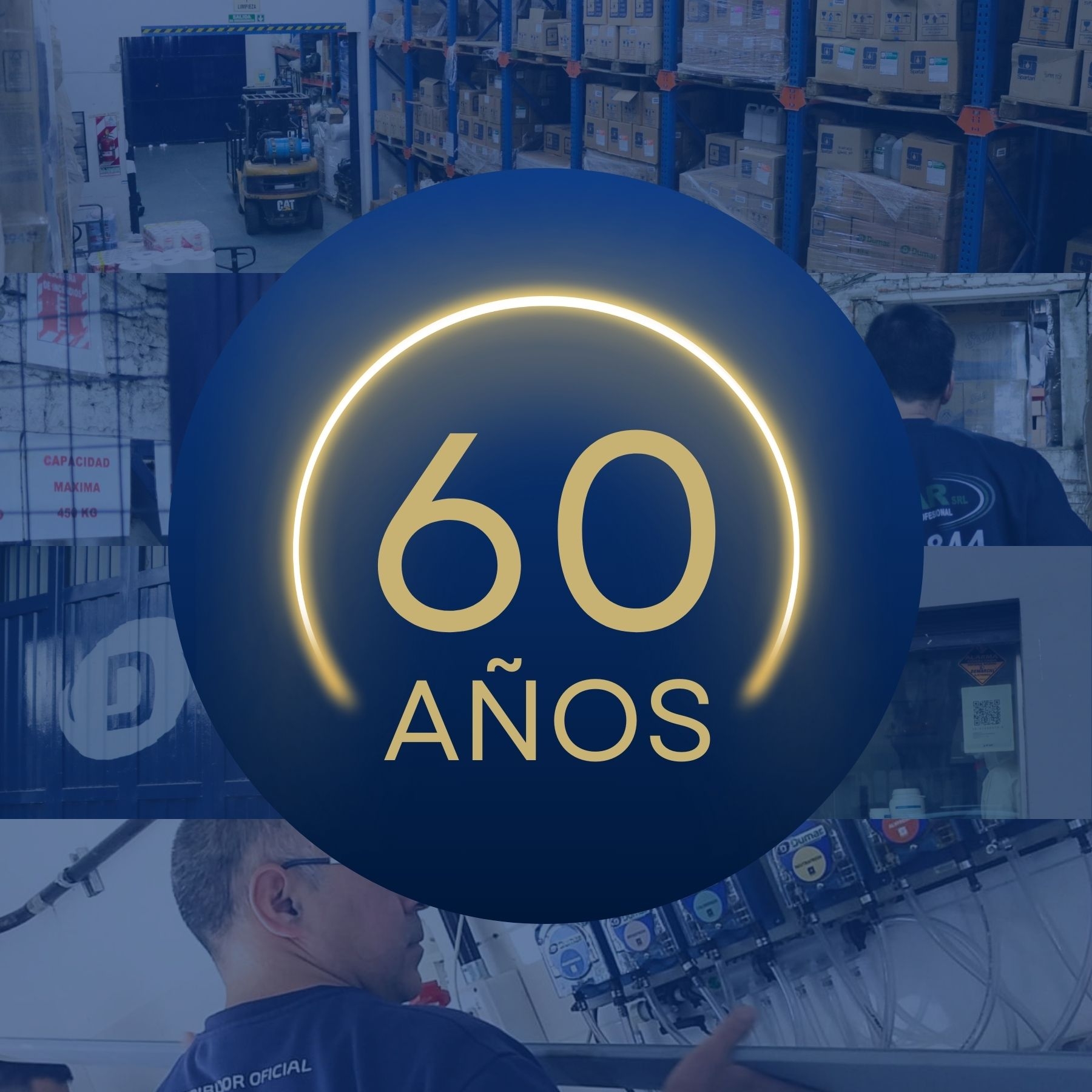 novedad61